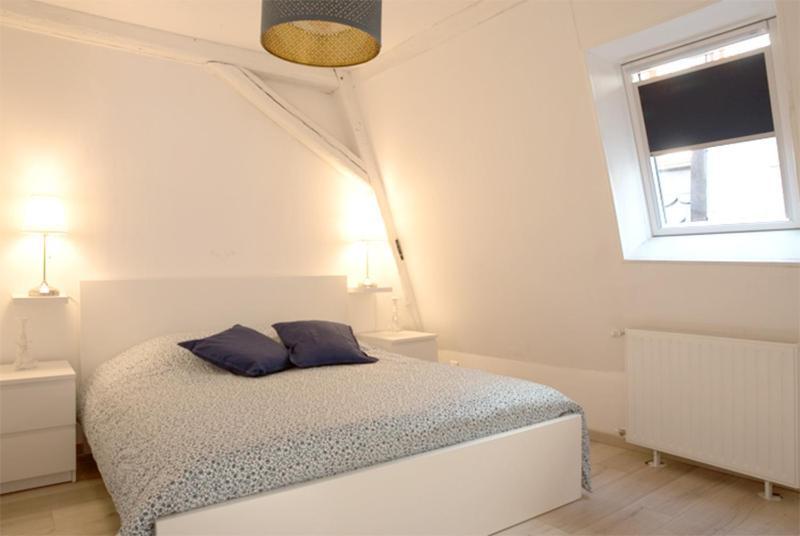 Petite Venise Grand Duplex Turenne Hyper Centre Colmar Exterior photo